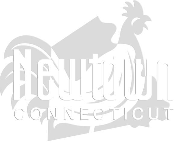 Newtown-Connecticut-Logo-1-768x768-newtown-ct