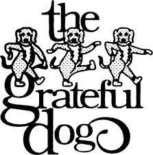 Grateful-Dog-newtown-ct