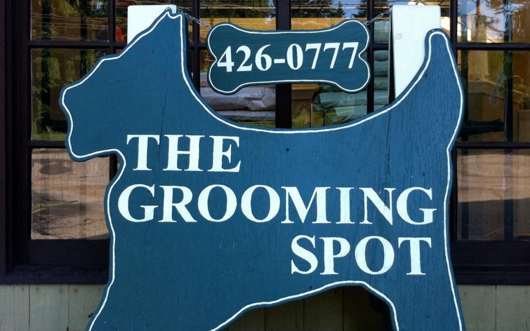 Grooming-Spot-newtown-ct