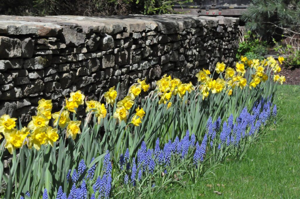 Picture-Perfect-Landscaping-newtown-ct