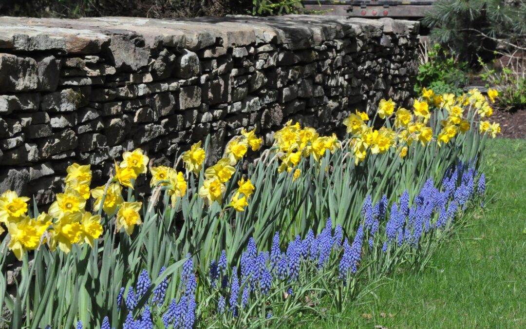 Picture-Perfect-Landscaping-newtown-ct