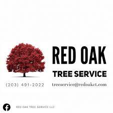 Red-Oak-Tree-Service-newtown-ct