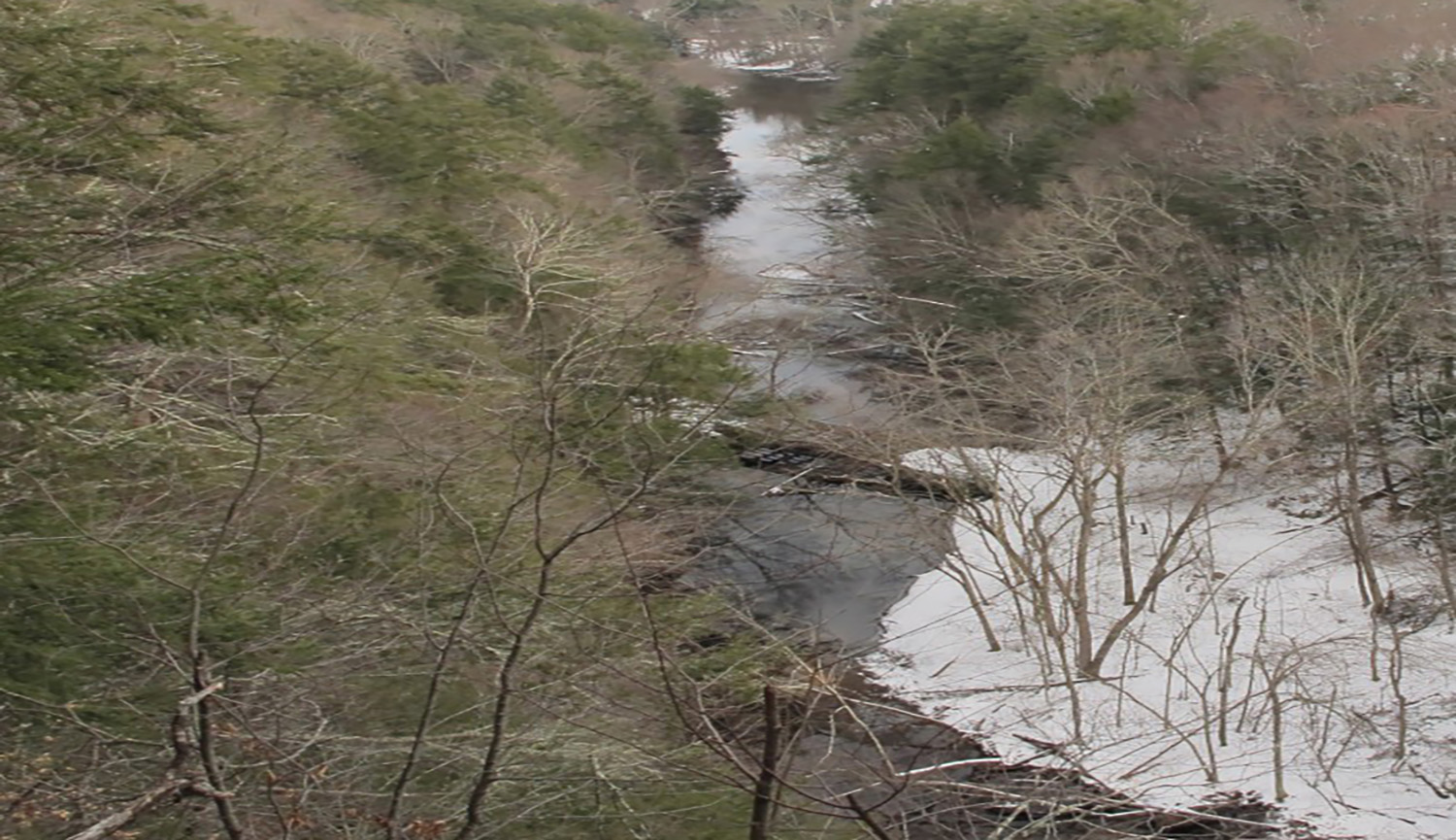 Wasserman-Preserve-Winter-Stream-newtown-ct