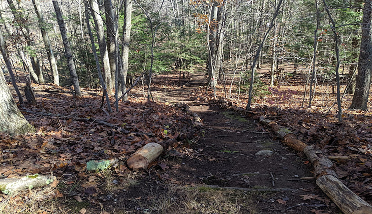 orchard-hill-center-trail-deep-in-the-woods-newtown-ct