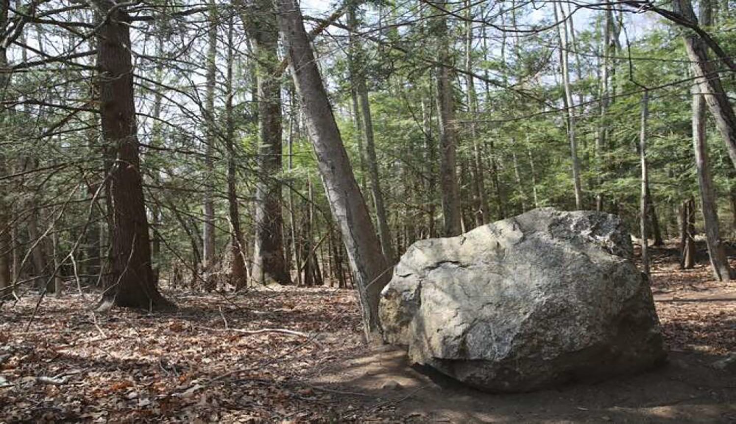 pole-bridge-reserve-giant-boulder-on-park-trail-newtown-ct