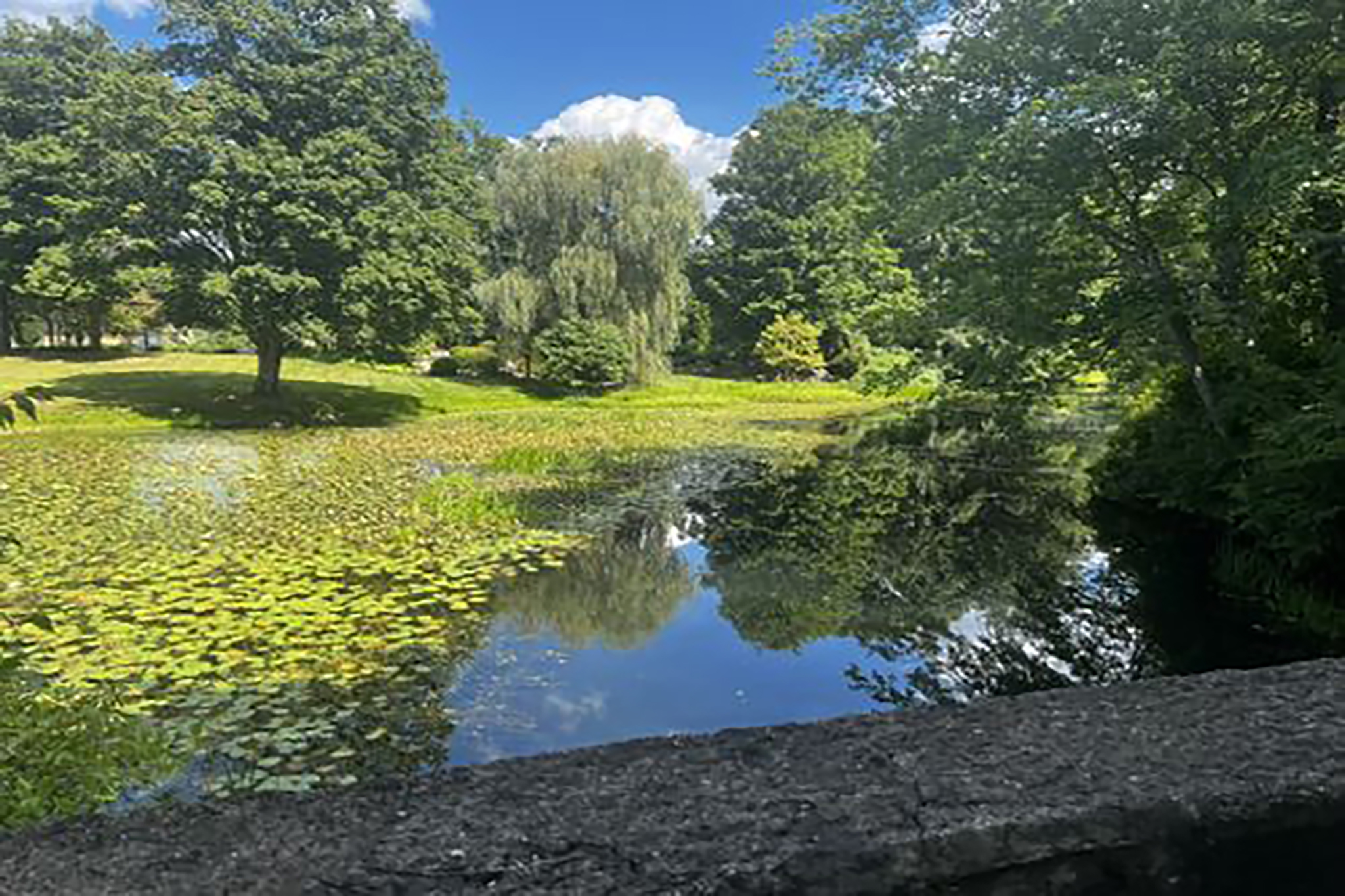 hiking-trails-pond-newtown-ct