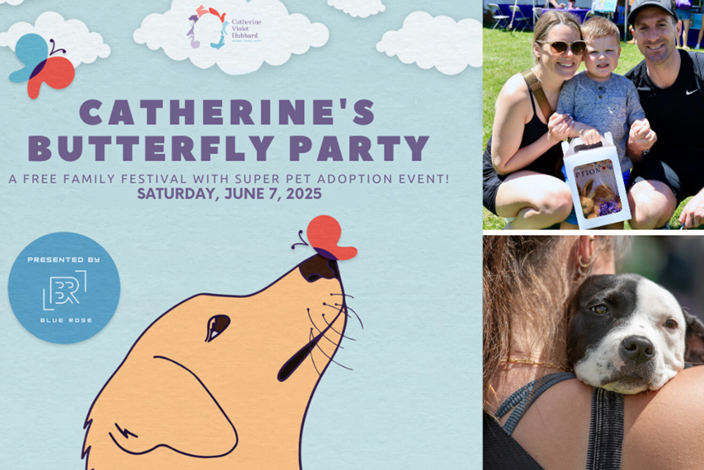 Catherine's Butterfly Party